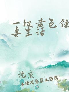 一级黄色录像夫妻生活
