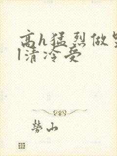 高h猛烈做哭bl清冷受