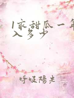 1亩甜瓜一年收入多少