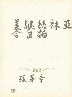 美腿丝袜亚洲综合自拍
