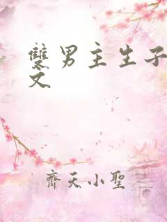 双男主生子甜宠文