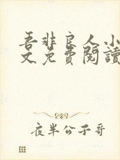 吾非良人小说全文免费阅读