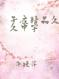 午夜精品久久久久中宇