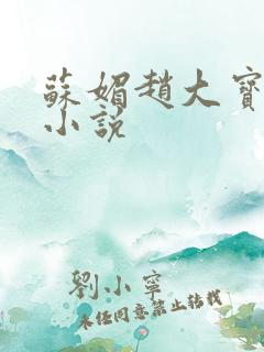 苏媚赵大宝全文小说