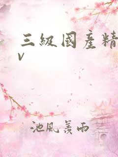 三级国产精品av