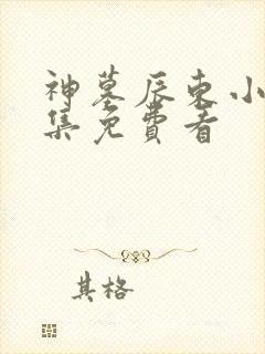 神墓辰东小说全集免费看