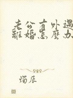 老公有外遇提出离婚怎么办