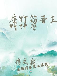唐竹筠晋王小说叫什么