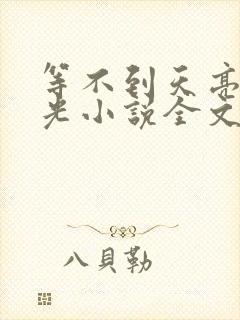等不到天亮等时光小说全文免费阅读