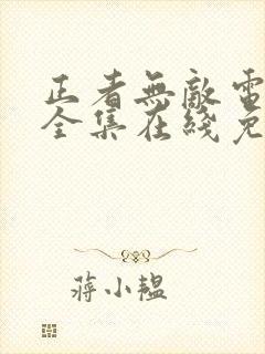 正者无敌电视剧全集在线免费观看