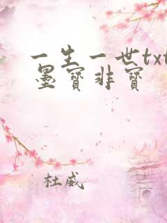 一生一世txt 墨宝非宝