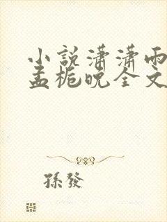小说潇潇雨声迟孟栀晚全文免费阅读