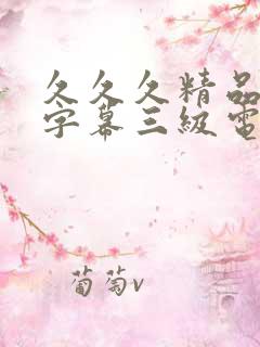 久久久精品中文字幕三级电影
