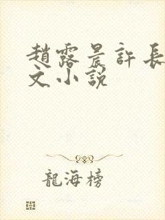 赵露晨许长生全文小说