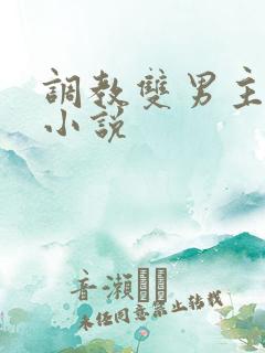 调教双男主双性小说