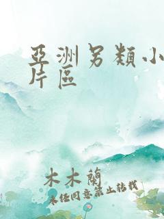 亚洲另类小说图片区