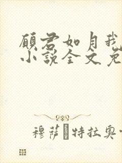 愿君如月我如星小说全文免费阅读