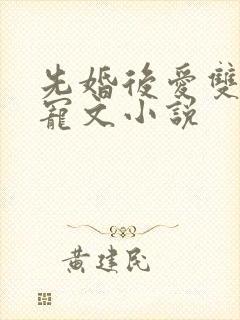 先婚后爱双豪门宠文小说