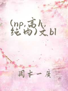 (np,高h,纯肉)文bl