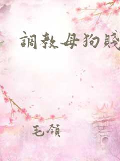 调教母狗贱逼