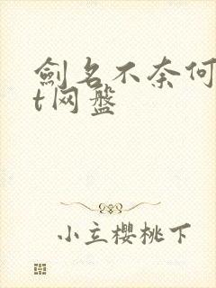 剑名不奈何txt网盘