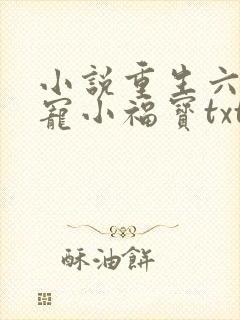 小说重生六零团宠小福宝txt下载