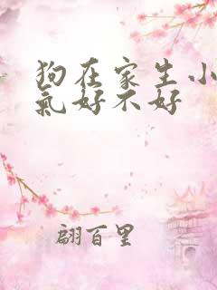 狗在家生小狗运气好不好