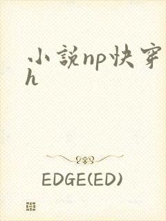小说np快穿高h