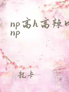 np高h高辣肉np
