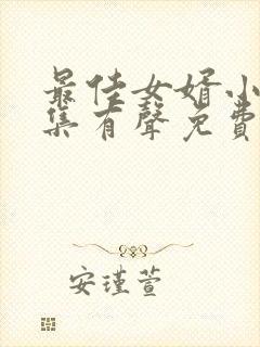 最佳女婿小说全集有声免费听