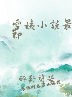 雪姨小说最新章节