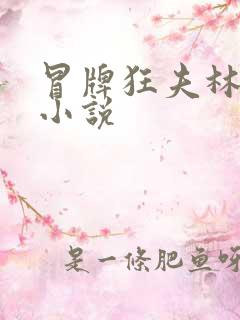 冒牌狂夫林悦的小说