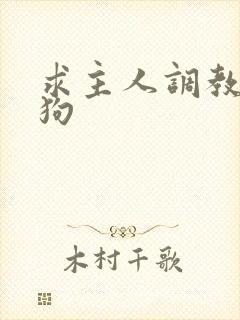 求主人调教小母狗