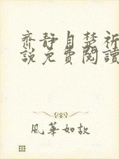 齐静月楚祈端小说免费阅读无弹窗