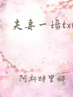 夫妻一场txt