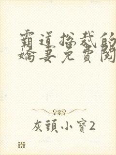 霸道总裁的独宠娇妻免费阅读全文
