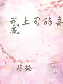 我上司的妻子韩剧