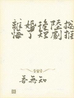 离婚后陆总他后悔了短剧推荐