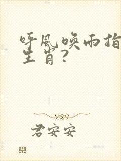 呼风唤雨指什么生肖?