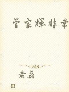 曾家辉非常权途