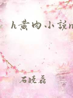 h黄肉小说np