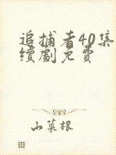 追捕者40集连续剧免费