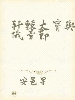 轩辕大宝与元素俄章节