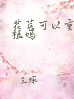 花菜可以重茬种植吗