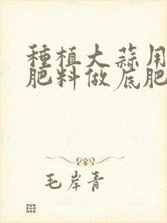 种植大蒜用什么肥料做底肥好