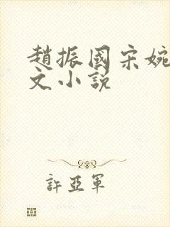 赵振国宋婉清全文小说