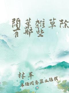 阔叶杂草除草剂有哪些