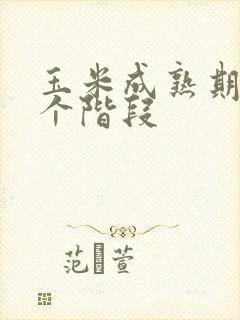 玉米成熟期分几个阶段