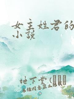 女主姓君的穿越小说