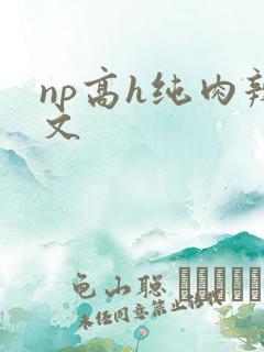 np高h纯肉辣文